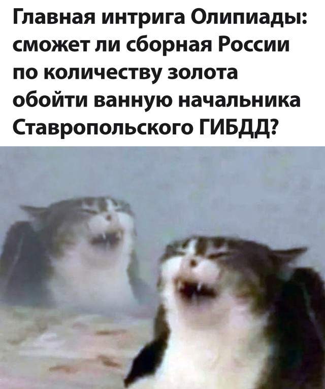 Смешные картинки 3 августа 2021 года Смешные картинки 3 августа 2021 года