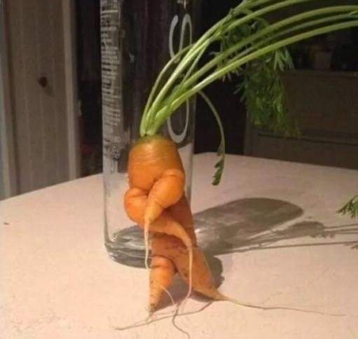 Кажется, эта морковка сейчас зачитает рэп