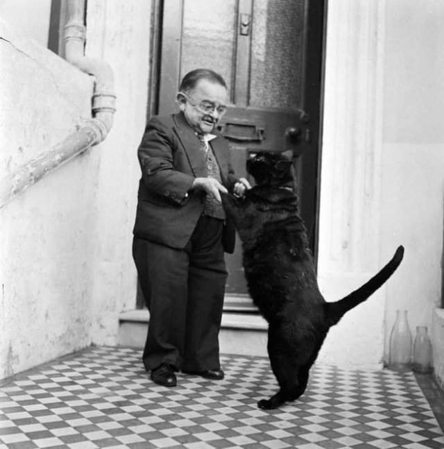 Самый маленький человек 1950-х годов Генри Беренс танцует со своим котом. Его рост составлял 76 см. Великобритания, 1956 год