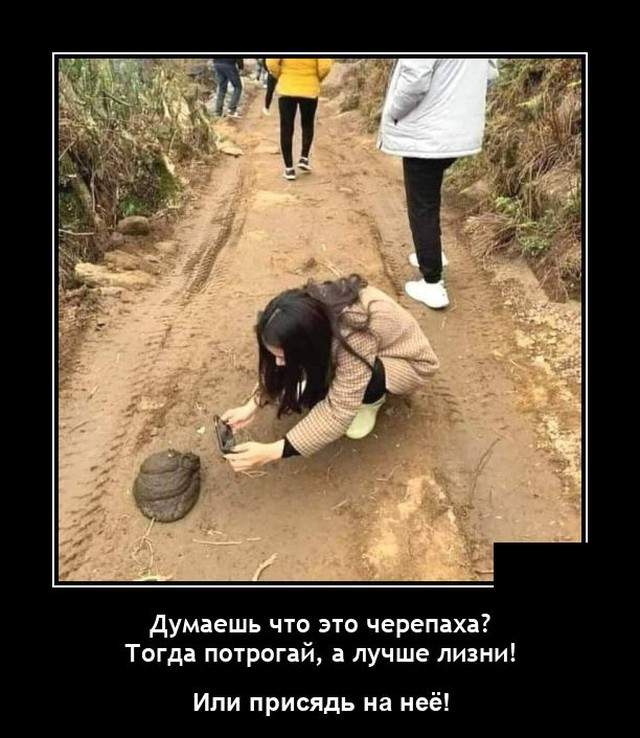 Демотиваторы 10 августа 2021 года