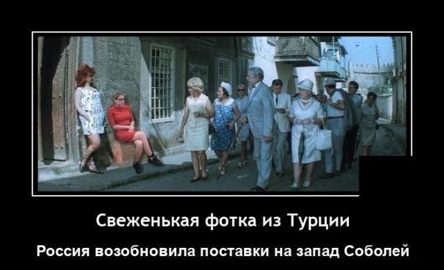 Демотиваторы 10 августа 2021 года