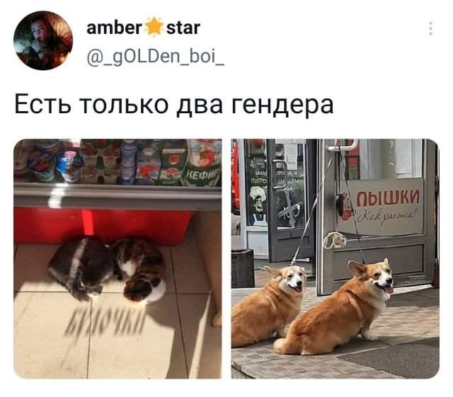 Подборка забавных твитов обо всем Подборка забавных твитов обо всем
