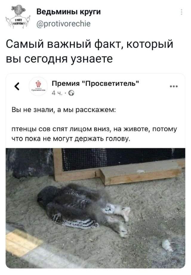 Подборка забавных твитов обо всем Подборка забавных твитов обо всем