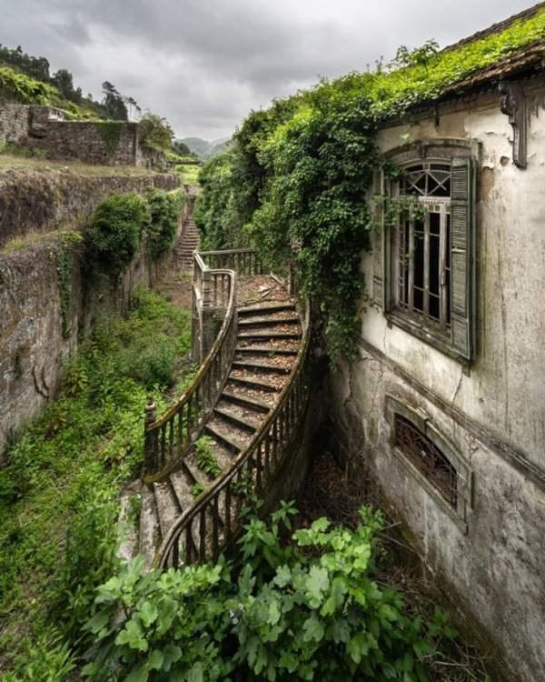 Парадная лестница, ведущая в португальскую виллу XIX века
