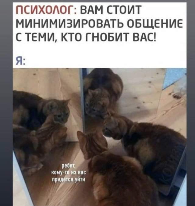 Лучшие шутки и мемы из Сети