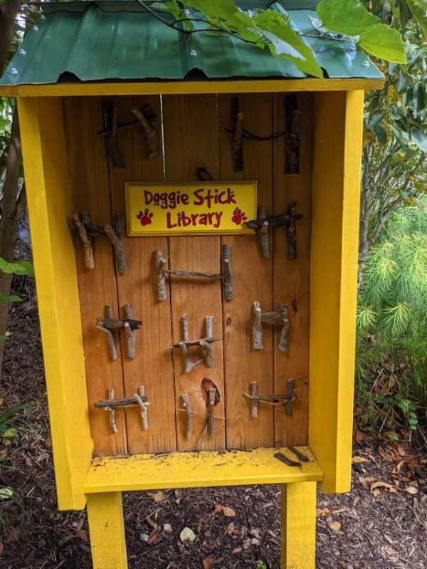 Нашёл в лесу бесплатную библиотеку палок для собак