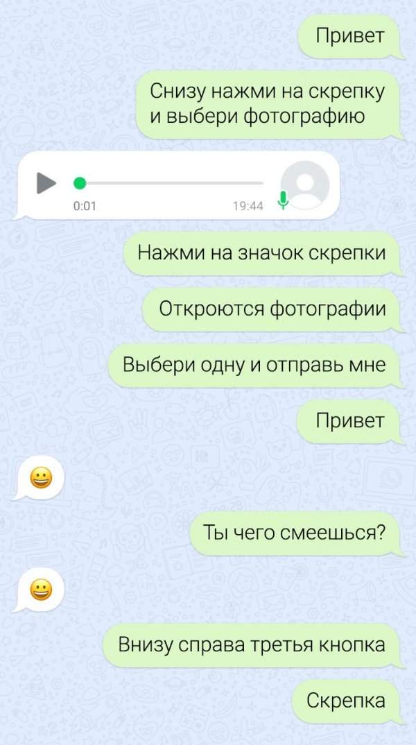 Подборка забавных переписок Подборка забавных переписок