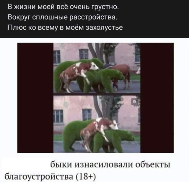 Рифмы из социальных сетей