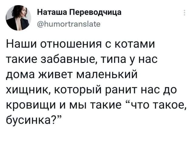 Подборка забавных твитов обо всем