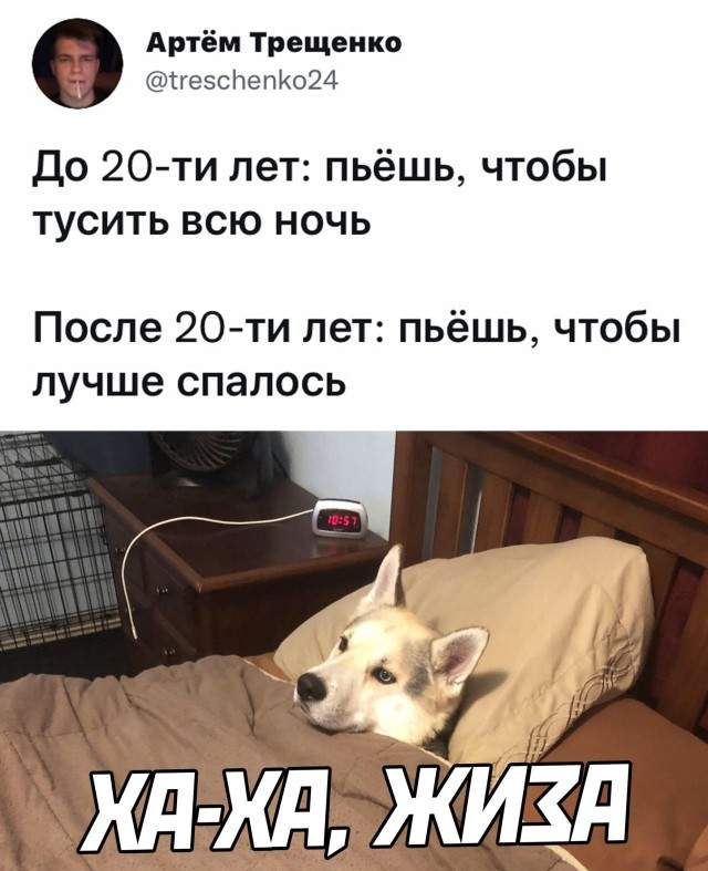 Смешные картинки 13 сентября 2021 года Смешные картинки 13 сентября 2021 года
