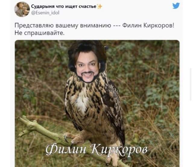 Шутки и мемы про Филиппа Киркорова в образе Жар-птицы для детской сказки