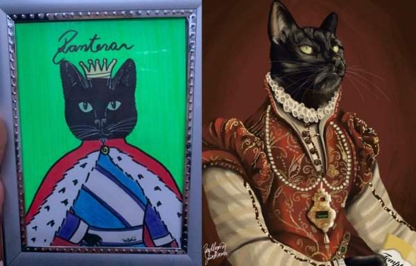 Я сделала портреты своей кошки: 2 года назад и 5 минут назад