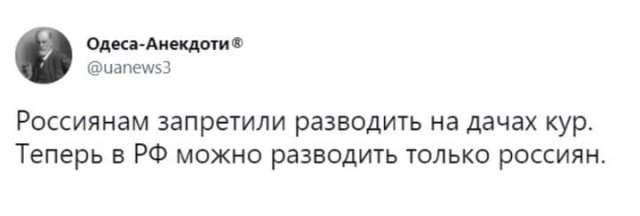 Шутки и мемы о запрете разводить кур в садах и огородах