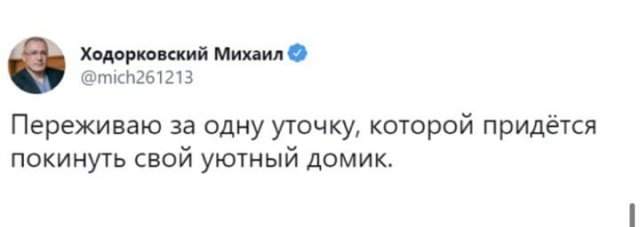 Шутки и мемы о запрете разводить кур в садах и огородах