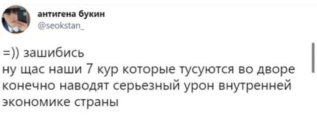 Шутки и мемы о запрете разводить кур в садах и огородах