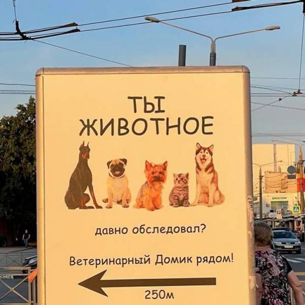 Реклама ветеринарной клиники, которая способна задеть за живое, пока не приглядишься