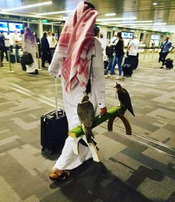 Обычный день в аэропорту Катара