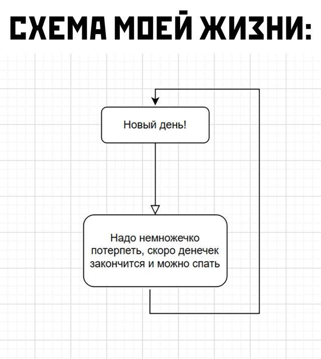 Смешные картинки 14 октября 2021 года