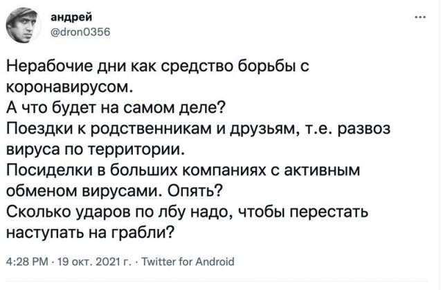 Реакция россиян на введение нерабочих дней в начале ноября