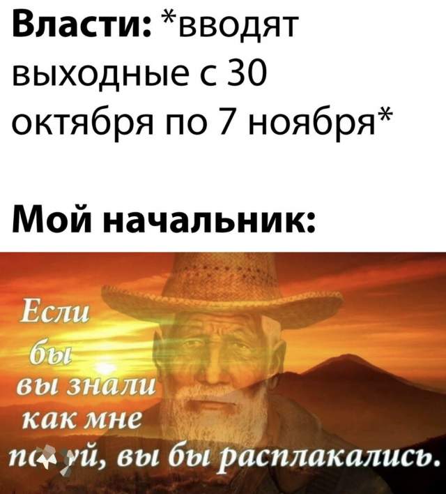 Приколы про нерабочую неделю в начале ноября