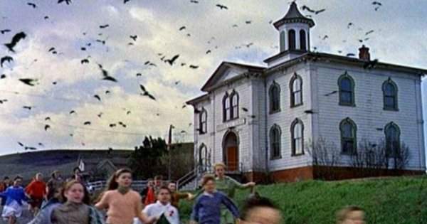 Здание школы из фильма «Птицы» в реальной жизни - дом с привидениями.
