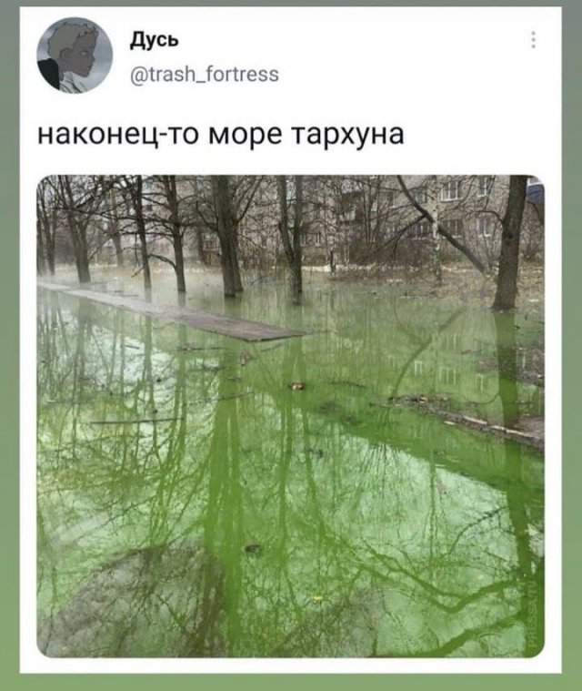 Лучшие шутки и мемы из Сети