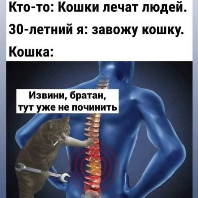 Лучшие шутки и мемы из Сети