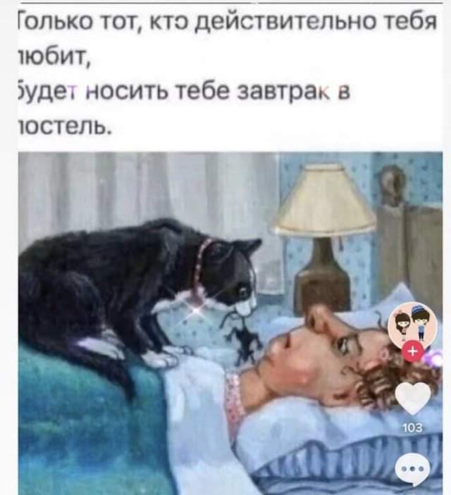 Лучшие шутки и мемы из Сети