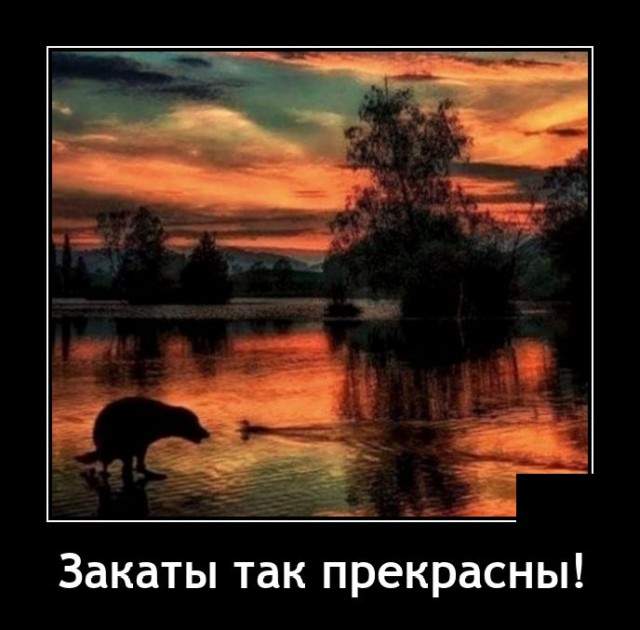 Демотиваторы 16 декабря 2021 года Демотиваторы 16 декабря 2021 года