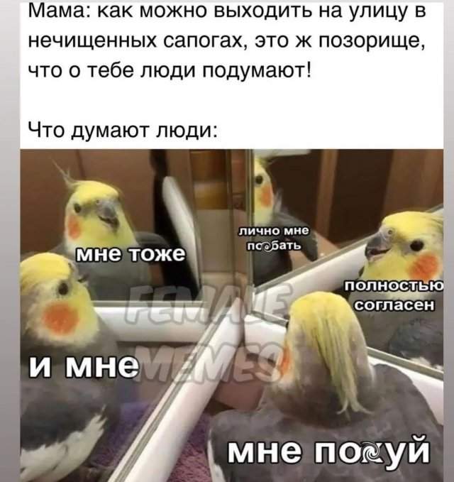 Лучшие шутки и мемы из Сети