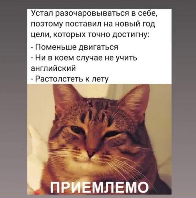 Лучшие шутки и мемы из сети