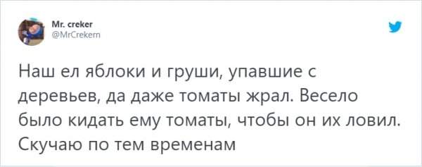 &quot;Кто в доме хозяин?&quot;: забавный тред в Твиттере о домашних питомцах