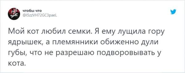 &quot;Кто в доме хозяин?&quot;: забавный тред в Твиттере о домашних питомцах