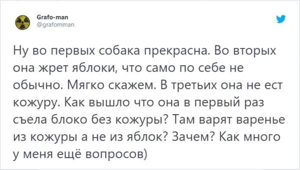 &quot;Кто в доме хозяин?&quot;: забавный тред в Твиттере о домашних питомцах