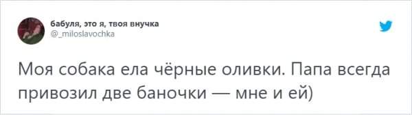 &quot;Кто в доме хозяин?&quot;: забавный тред в Твиттере о домашних питомцах