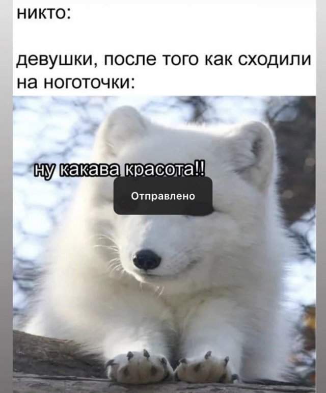 Лучшие шутки и мемы из Сети