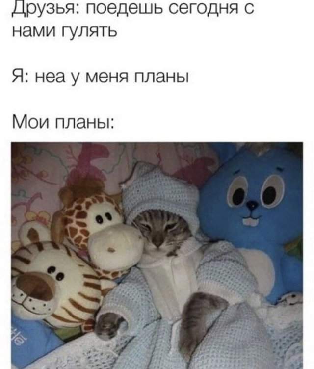 Лучшие шутки и мемы из Сети