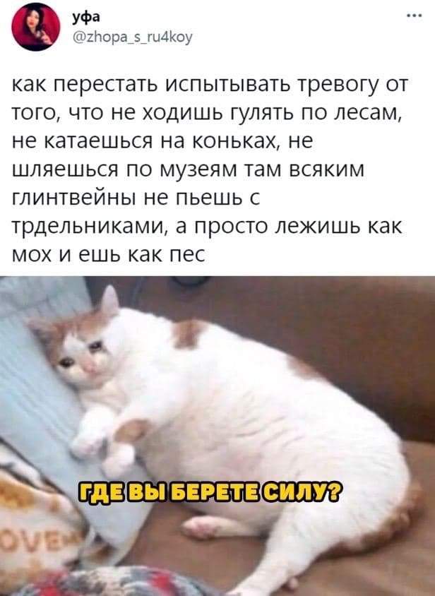 Мемы для грустных и депрессивных людей