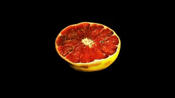 Сочный грейпфрут, пролежавший более 2 месяцев
