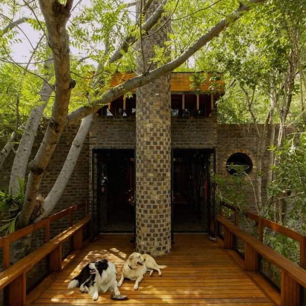 Узкий дом в Южной Африке, имеющий ширину всего 3,3 метра