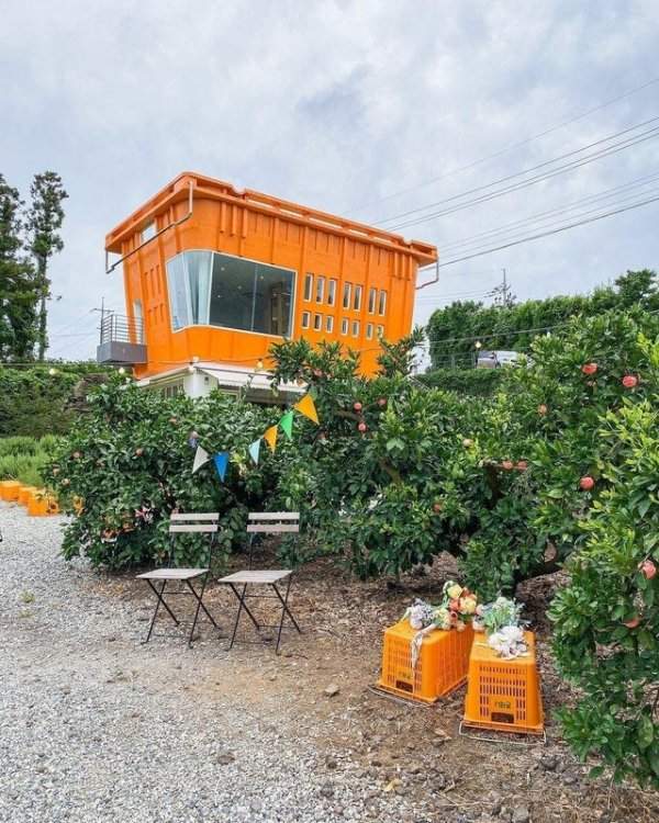 Это кафе находится рядом с апельсиновой рощей, поэтому сделано в виде корзины