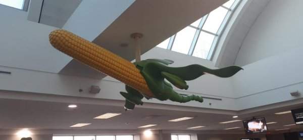 «Кукурузник» в аэропорту Атланта
