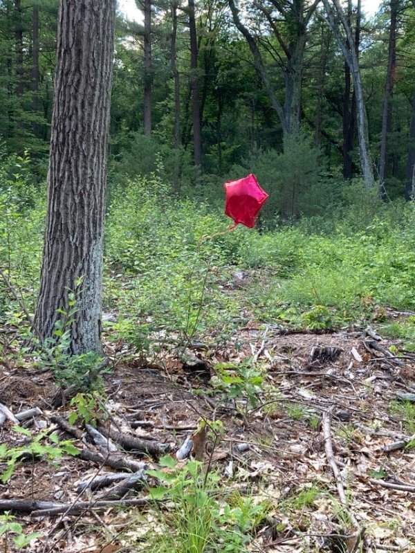 Красный шар в глубине леса