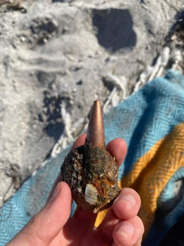 Мой брат нашёл на пляже пулю 50-го калибра, поглощённую кораллом