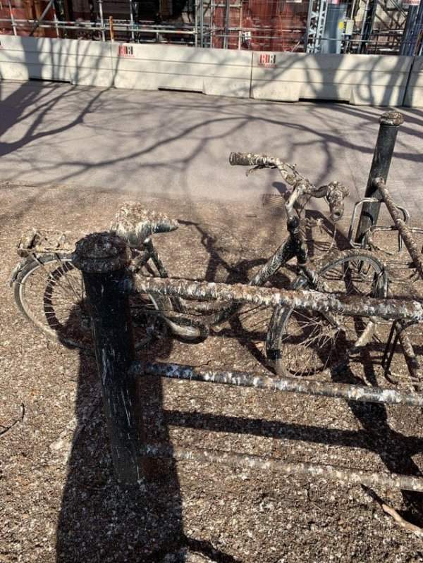 Кто-то оставил велосипед не под тем деревом