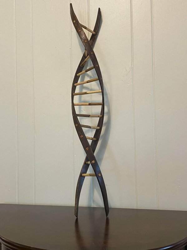 Моя девушка пишет работу по генетике, сделал для неё деревянную ДНК