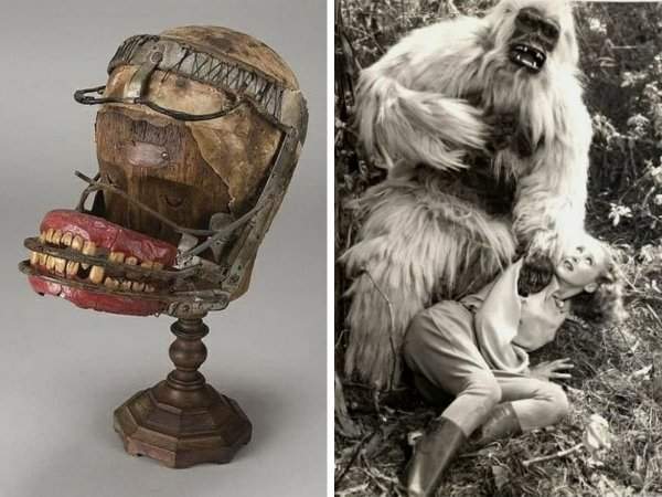 Зубы и голова механизированной гориллы из фильма «Белый понго», музей науки Лос-Анджелеса