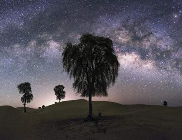 «Сфотографировал Млечный Путь из самого темного места в Абу-Даби. А чтобы найти эти деревья, прошел по пустыне целых 2 километра»