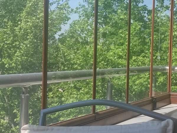 «Отражение деревьев на перилах моего балкона создает впечатление, что перила прозрачные»