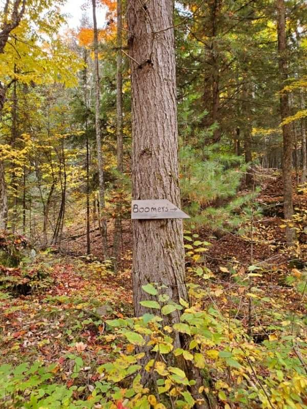 Знак «Бумеры» на дереве